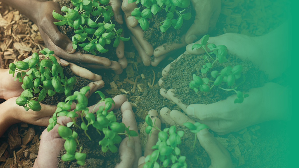 ESG Tree for Procurement: navigate sustainable purchasing and EU regulations