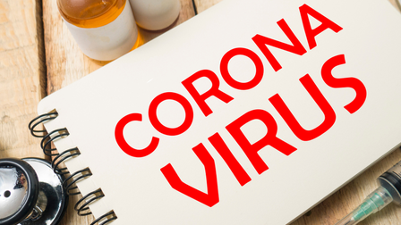 Dossier Corona - eerste maanden