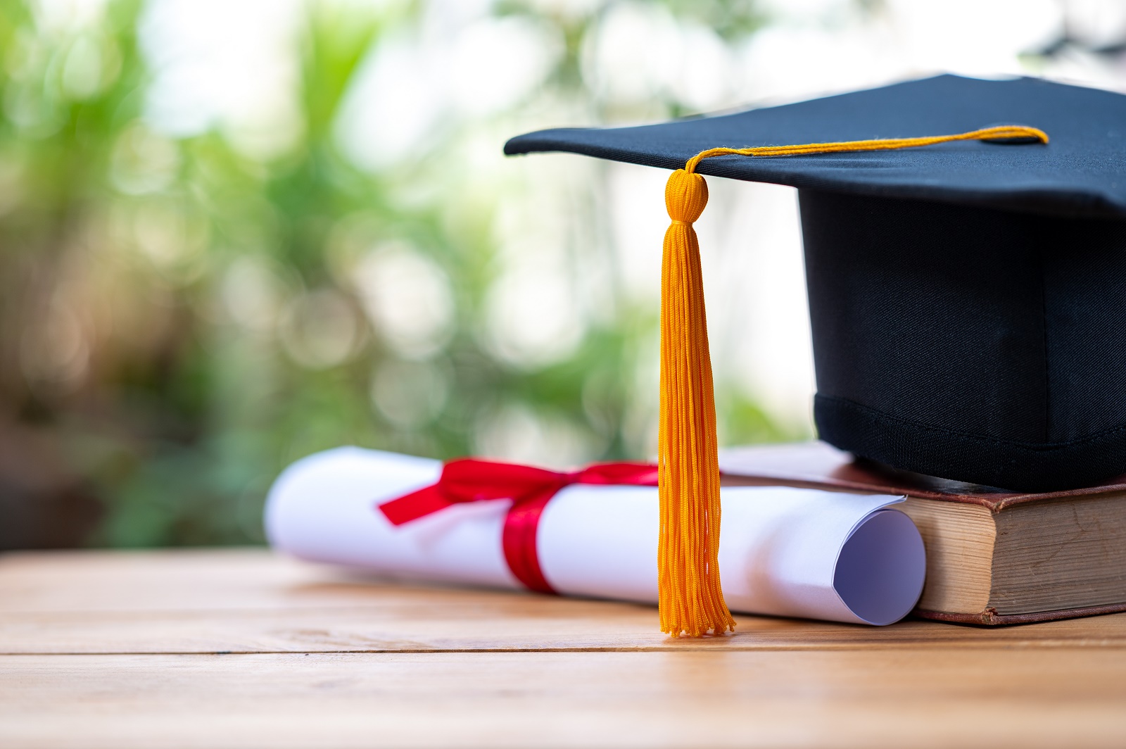 De voordelen van een Nevi diploma