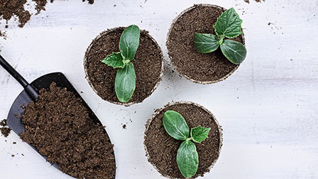 Stakeholders inkoop: laat je verrassen! 3 tips