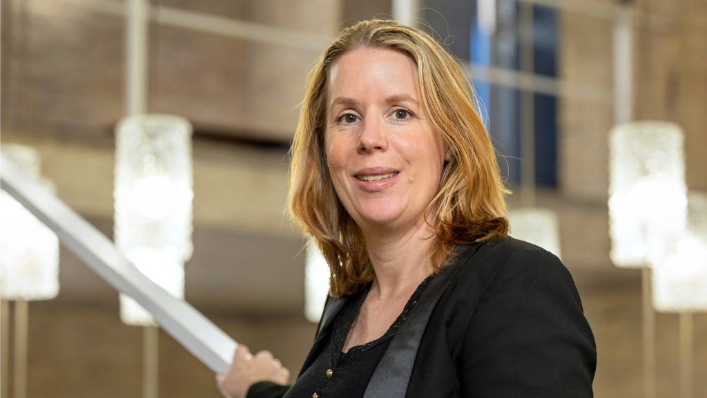 Wendy van der Valk, Nevi Hoogleraar
